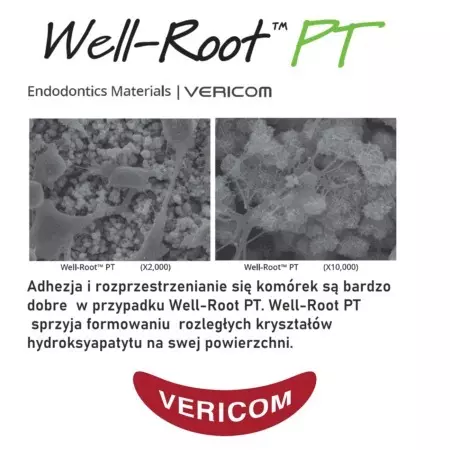 Well-Root PT (putty type) – Bioaktywna bioceramika - gotowa gęsta pasta w kompiulach (Vericom, Korea) - obrazek 3